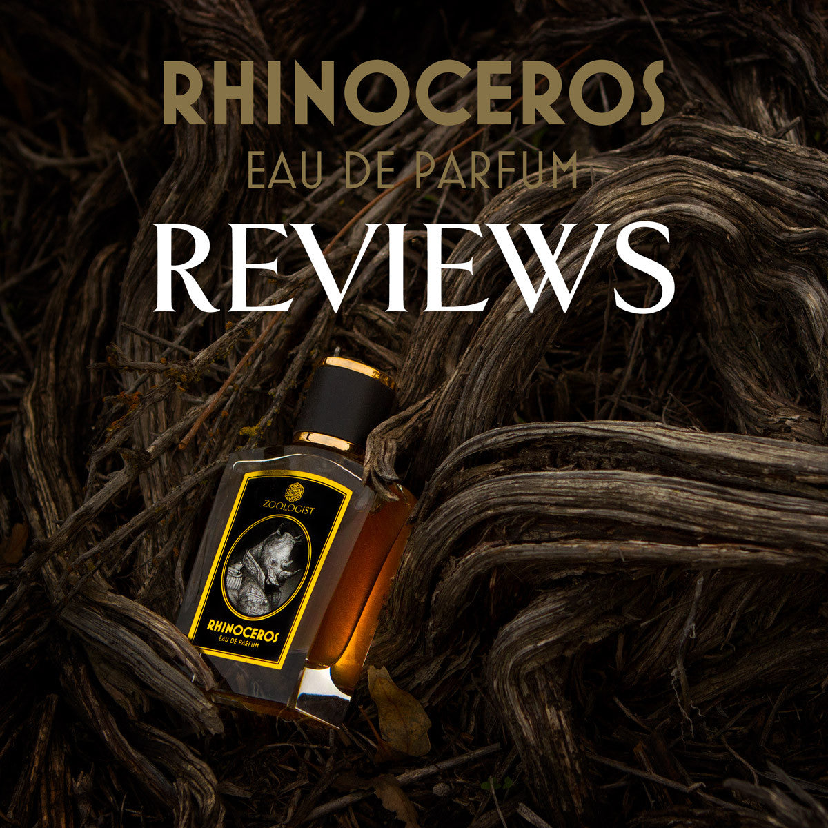 Rhinoceros perfume online