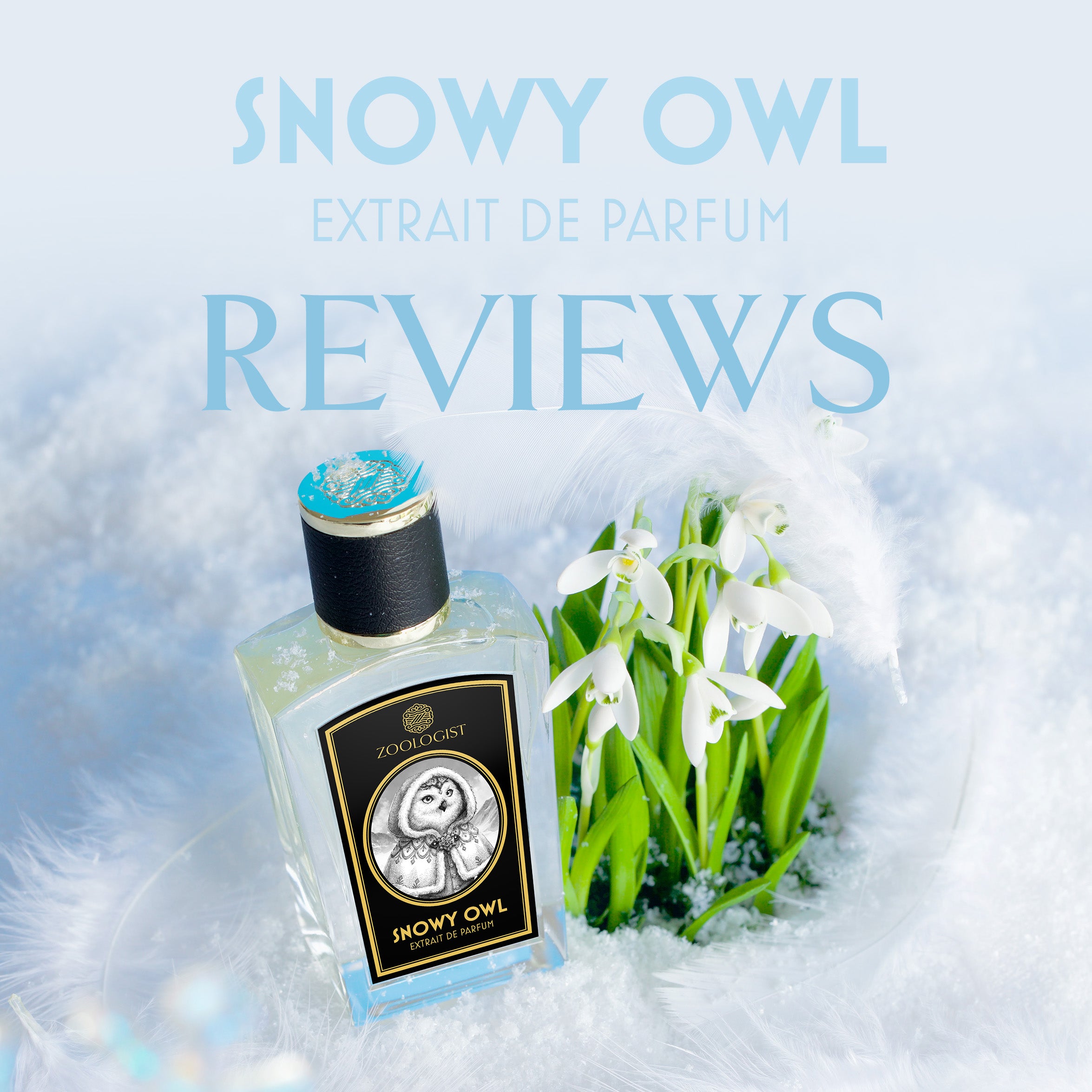 Snowy owl best sale zoologist perfumes